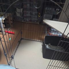 キャットケージの画像