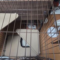 キャットケージの画像