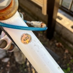 【商談中
】ルイガノ　あげますの画像