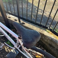 【商談中
】ルイガノ　あげますの画像