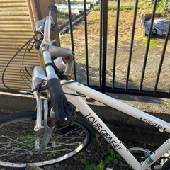 【商談中
】ルイガノ　あげますの画像