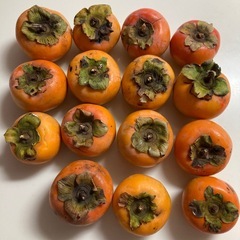 小さな柿の画像