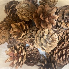 クリスマスツリー　180センチの画像