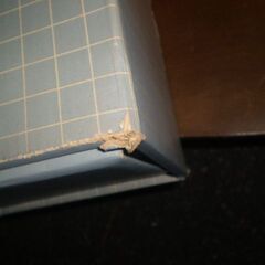 紙製　衣装箱　幅42㎝奥行59㎝高さ21㎝の画像