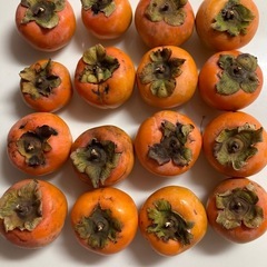 小さい柿の画像