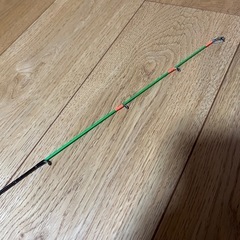 ティップランロッド　メタルティップ(プロマリン　ライトレーダー)の画像