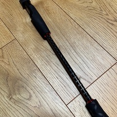 ティップランロッド　メタルティップ(プロマリン　ライトレーダー)の画像