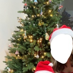 クリスマスツリーの画像