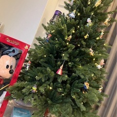 クリスマスツリーの画像