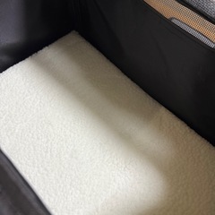 猫　ネコ　キャリーバッグの画像