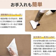 新品　高反発カーペット 極厚25mm  (140x200cm ブラウン)ラグマット 抗菌・防ダ 滑り止 厚手 洗えるラグ 防音カーペット 床暖房ホットカーペット対応の画像