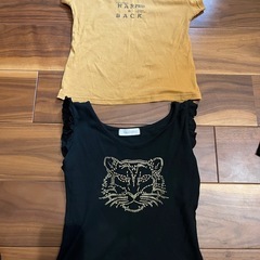 Ｔシャツ 大人女性   小さめの画像