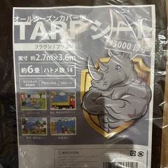 コメリ　エアーフレームテント&グランドシートセットの画像