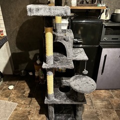 早急に引き取り希望　キャットタワーの画像
