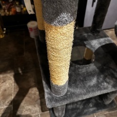 早急に引き取り希望　キャットタワーの画像