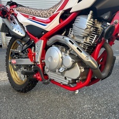 セロー250 ファイナルエディションの画像