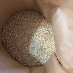 令和7年産あきたこまち玄米の画像