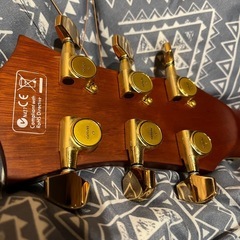 Elioth アコースティックギター改　高級ハードケース付の画像