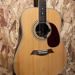 Elioth アコースティックギター改　高級ハードケース付の画像