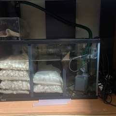 90センチオーバーフロー水槽の画像