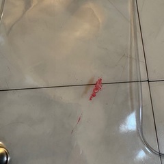 AMBUSH 非売品　PVCバッグの画像