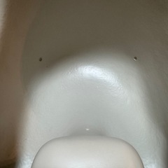 ばんぼBumboの画像