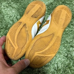 ミズノ　モナルシーダネオ　インドアシューズ　23.0cmの画像