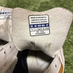 ミズノ　モナルシーダネオ　インドアシューズ　23.0cmの画像