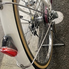 ブリジストンカジュナルの画像