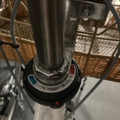 ブリジストンカジュナルの画像