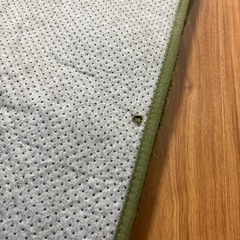 ラグ　カーペット　Natural Posture 緑の画像