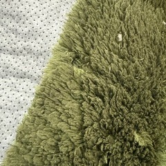 ラグ　カーペット　Natural Posture 緑の画像