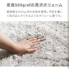 モダンデコ シャギーラグ 250x200の画像