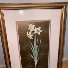 GYP1111 水仙　Gloria Eriksen Narcissus 額入りの画像