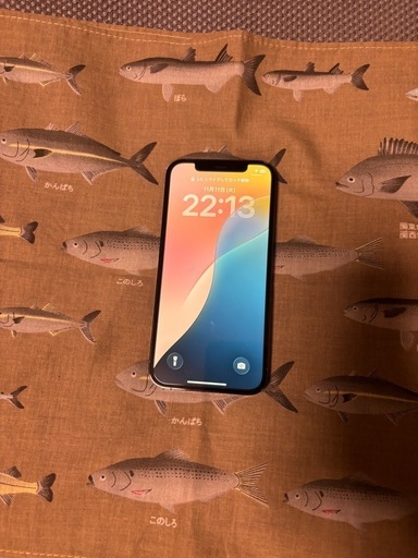 iPhone 12 Pro 128GB グラファイト　SIMフリー