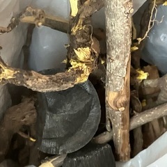 BBQ薪 焚き火薪 端材屑　着火炭セットの画像