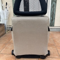 セミバケシートの画像