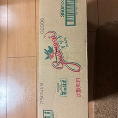 チェリオ　ガラナソーダの画像