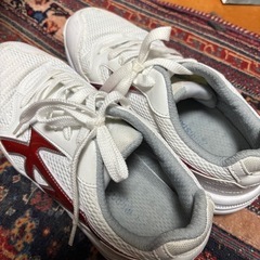 26cm ムーンスター　室内履きの画像