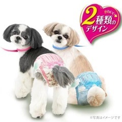 ユニチャーム マナーウェア 女の子用 Mサイズ 4袋セットの画像