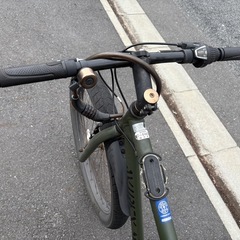 AVIREX アビレックスファットの画像