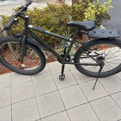 AVIREX アビレックスファットの画像