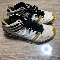 adidasバッシュの画像