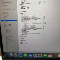 【本日のみ出品】MacBookAir2024 M3/16GB/256GB スターライトの画像