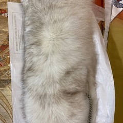 成人式着物　セット　帯とファー付　の画像