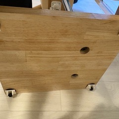 SUN エコボディ トルソー 着付け 和装 高さ調整 腕付き
の画像