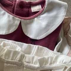 プティマイン110の画像