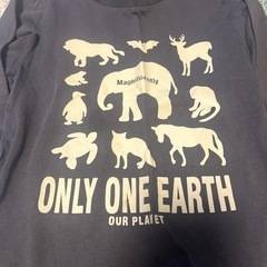 11/21まで　100〜110センチ　Tシャツセットの画像