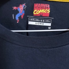 スパイダーマン　マーベル　Tシャツの画像