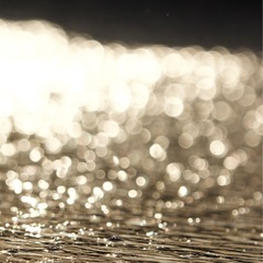 一緒に行動を起こしませんか？